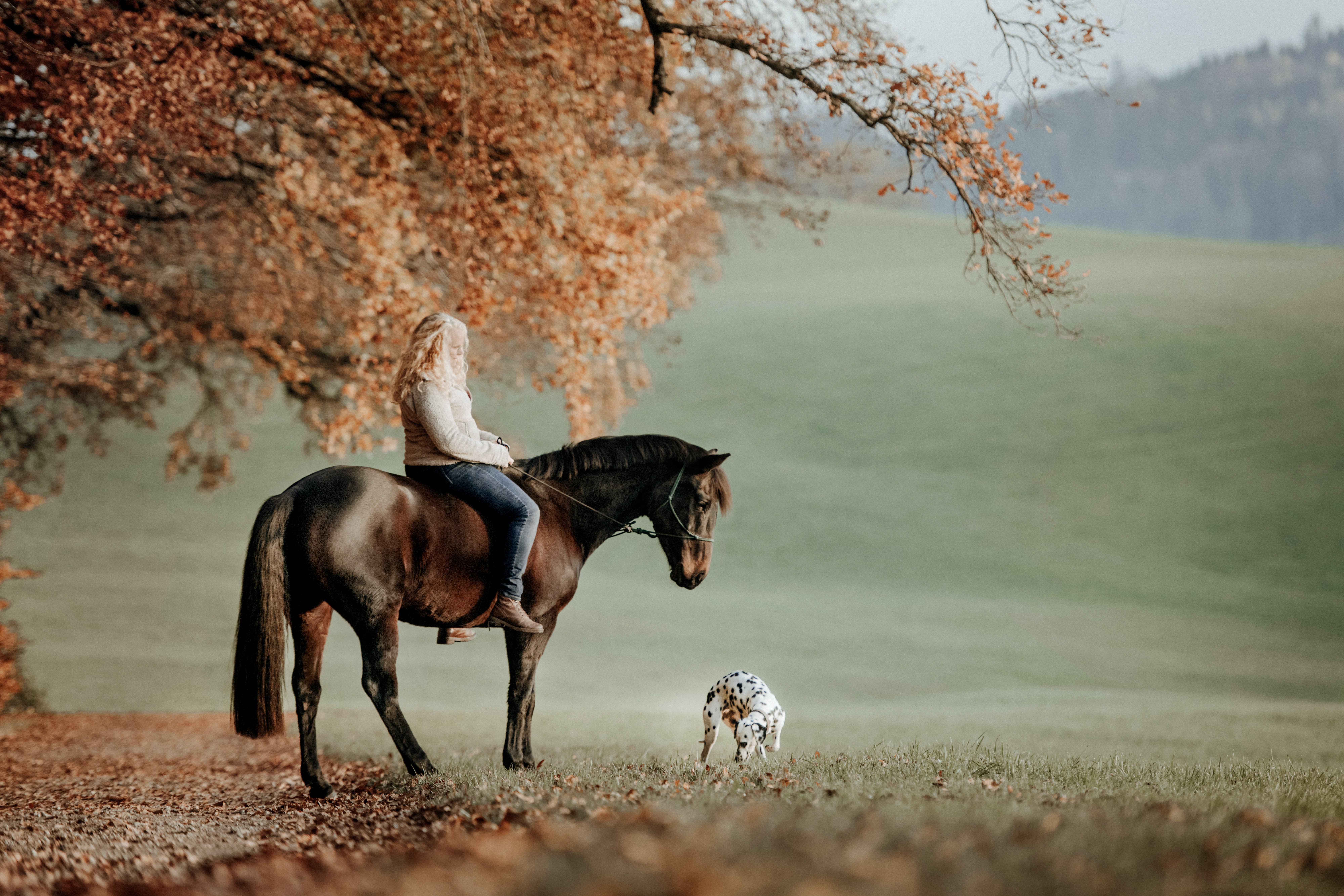Tanya mit Pferd